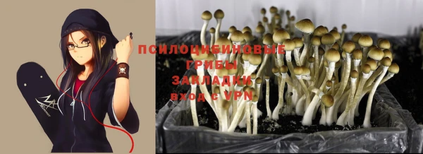 соль курить ск Балахна