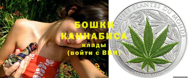 сатива Баксан