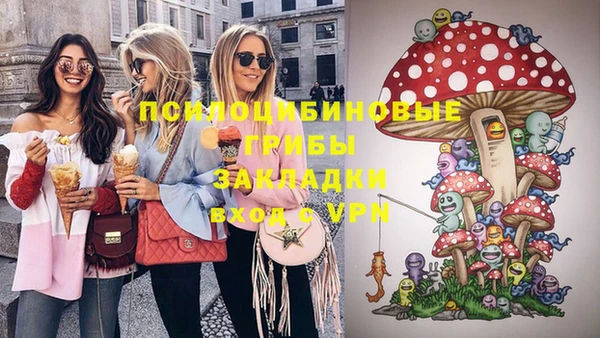 сатива Баксан