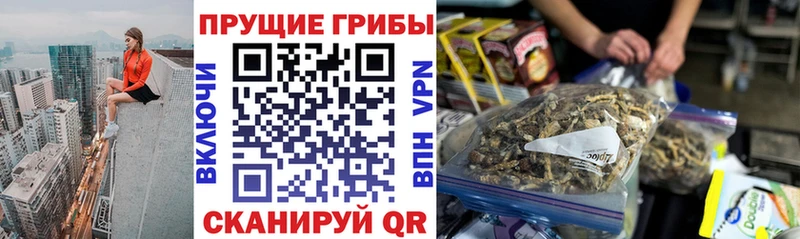 купить   Малоархангельск  Галлюциногенные грибы Magic Shrooms 